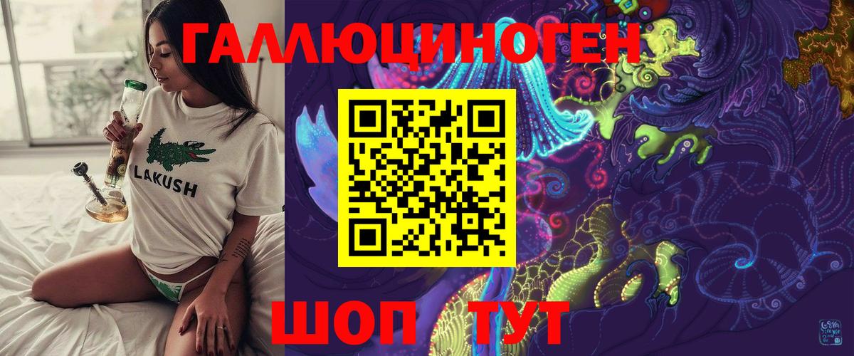 Галлюциногенные грибы Psilocybe  где купить наркотик  Холмск  Псилоцибиновые грибы мухоморы  Вход с VPN 