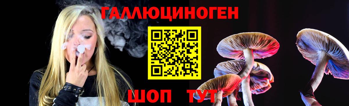 Псилоцибиновые грибы GOLDEN TEACHER Холмск