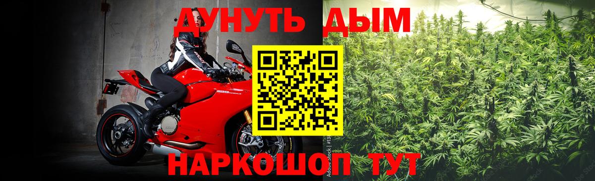 Конопля семена  Вход с VPN  Канабис гибрид  Холмск 